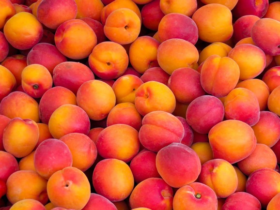 can-dogs-eat-nectarines